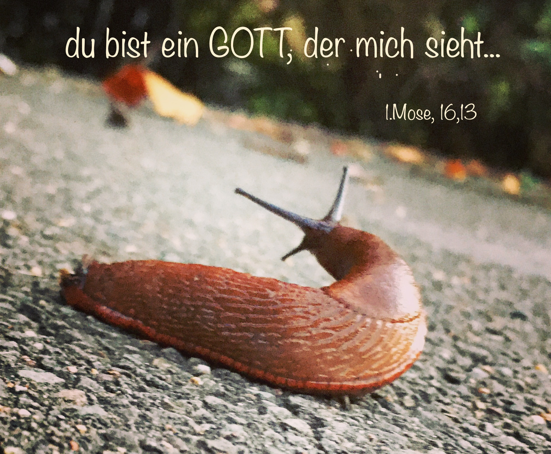 Du bist ein GOTT, der mich sieht… – KiTa Kreuz und Quer